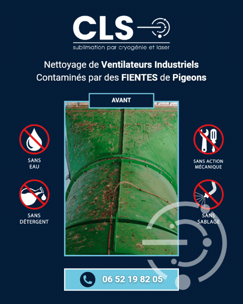 Nettoyage de Ventilateurs Industriels Contaminés par des FIENTES de Piegons